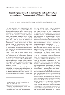 Predator-Prey Interaction Between the Snakes Apostolepis Ammodites and Psomophis Joberti (Snakes: Dipsadidae)