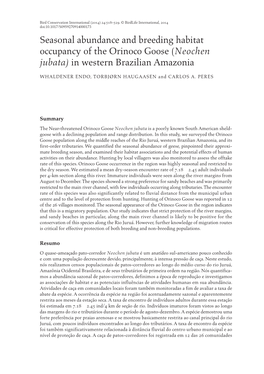Seasonal Abundance and Breeding Habitat Occupancy of the Orinoco Goose (Neochen Jubata) in Western Brazilian Amazonia