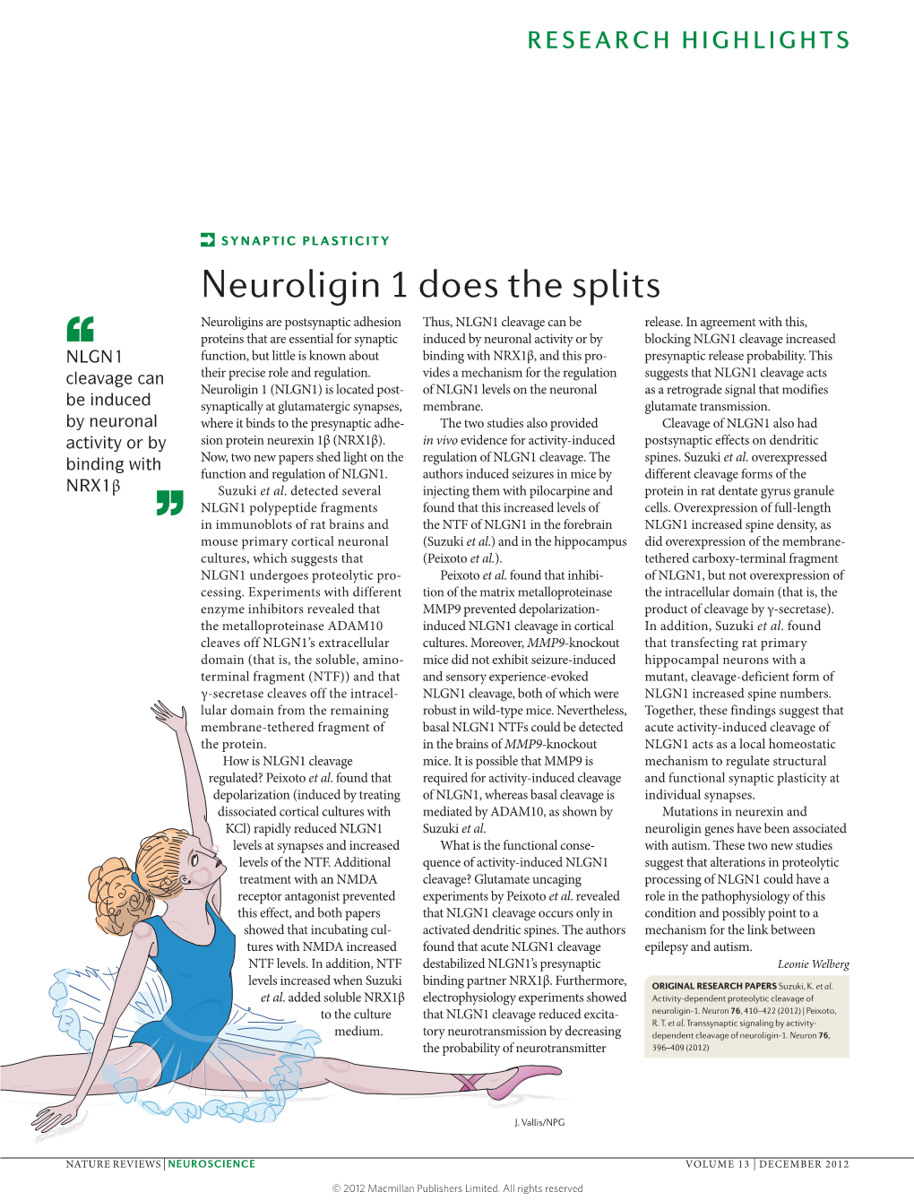 Synaptic Plasticity: Neuroligin 1 Does the Splits