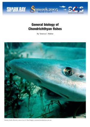 General Biology of Chondrichthyan Fishes