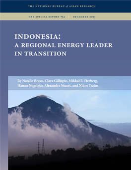 Indonesia: a Regional Energy Leader in Transition