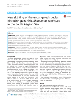 New Sighting of the Endangered Species Blackchin Guitarfish