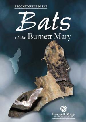 A Pocket Guide to the Bats of the Burnett Mary