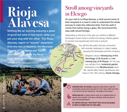 Rioja Alavesa, a Stroll Around Some of Their Vineyards Is a Must in Order to Understand the Whole Process to Make This Millennial Drink