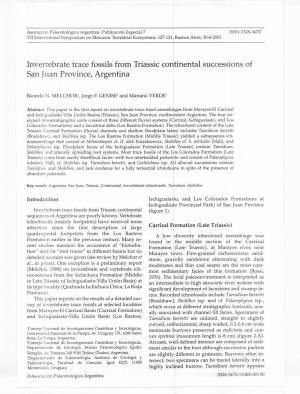 Invertebrate Trace Fossils from Triassic Continental Successions of San Juan Province, Argentina