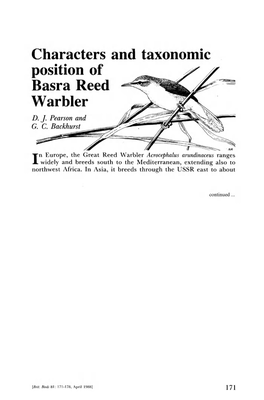 Characters and Taxonomic Position of Basra Reed Warbler D