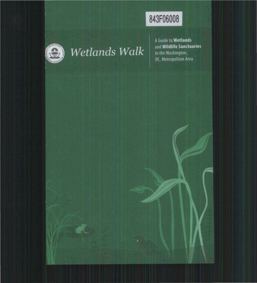 Wetlands Walk.Pdf