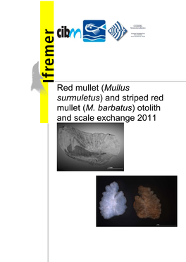 (Mullus Surmuletus) and Striped Red Mullet (M. Barbatus) an Exchange for a New Set of M