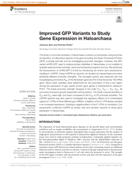 Improved GFP Variants to Study Gene Expression in Haloarchaea