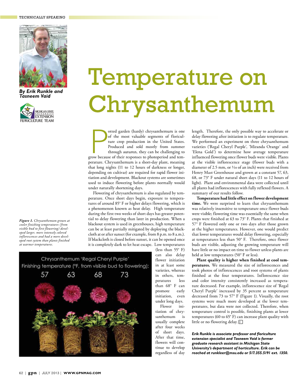 Temperature on Chrysanthemum