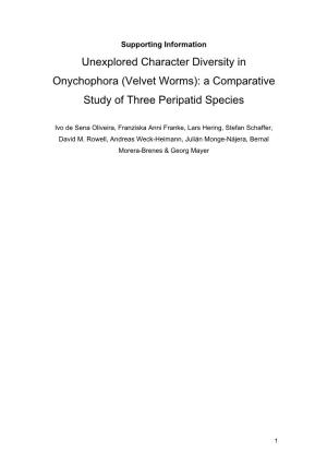 Unexplored Character Diversity in Onychophora (Velvet Worms): a Comparative Study of Three Peripatid Species