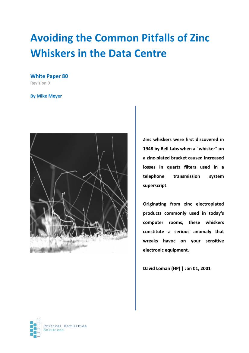 Zinc Whiskers White Paper