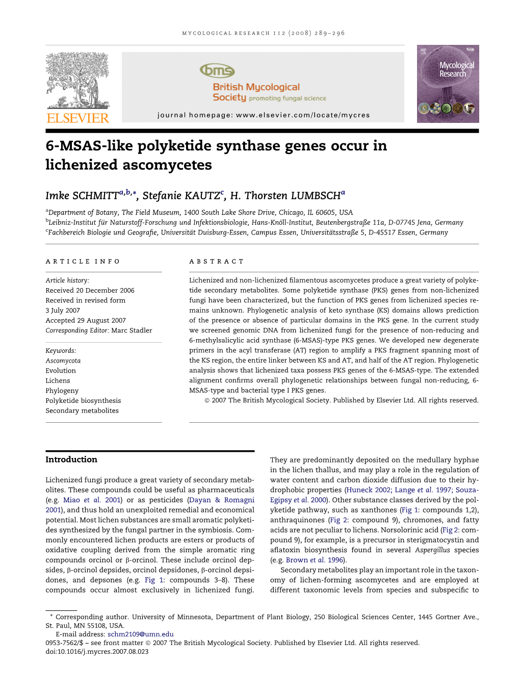 6-MSAS-Like Polyketide Synthase Genes Occur in Lichenized Ascomycetes