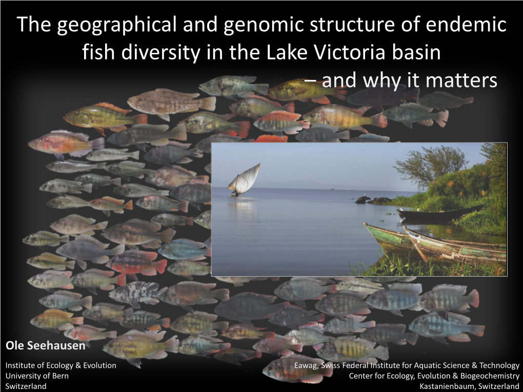 The Geographical and Genomic Structure of Endemic Fish Diversity in the Lake Victoria Basin – and Why It Matters