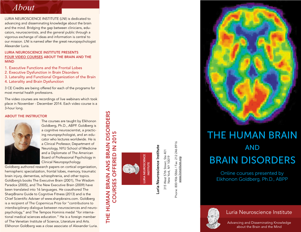 The Human Brain Brain Disorders