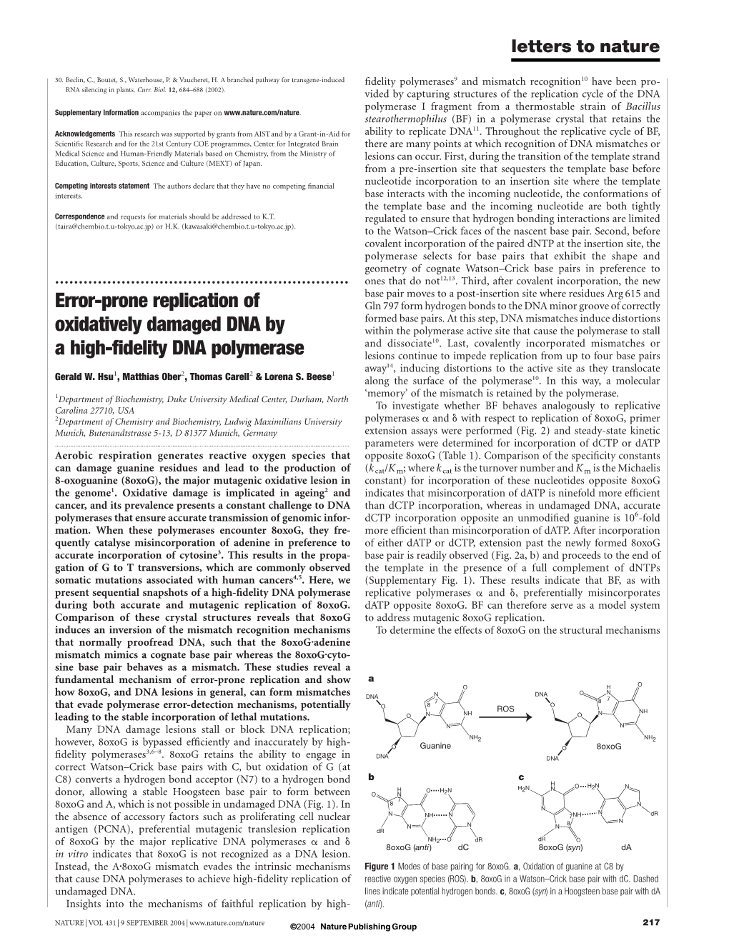 Error-Prone Replication of Oxidatively Damaged DNA by a High-Fidelity