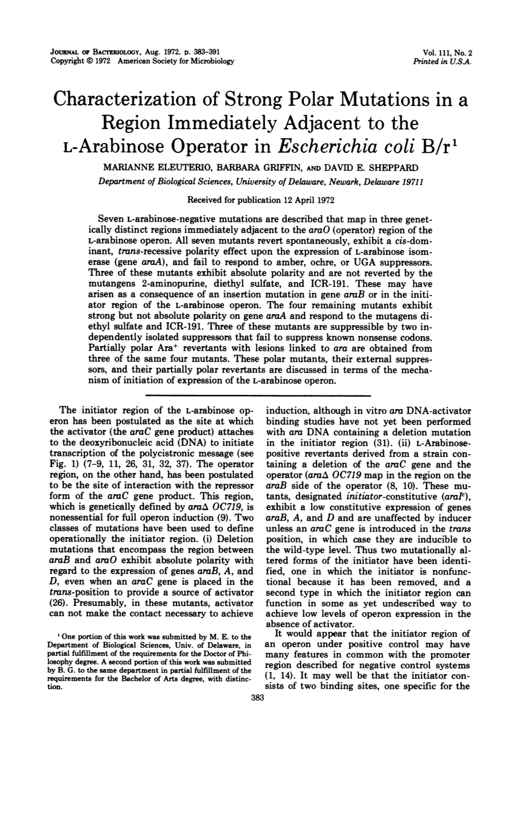 Region Immediately Adjacent to the L-Arabinose Operator in Escherichia Coli B/R' MARIANNE ELEUTERIO, BARBARA GRIFFIN, and DAVID E