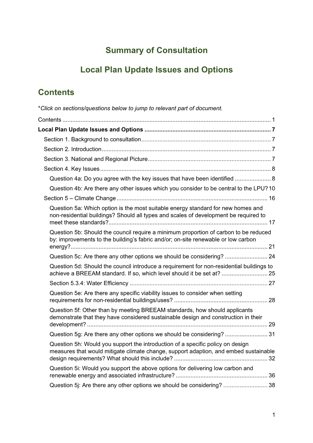 Issues and Options Summary Consultation(PDF)