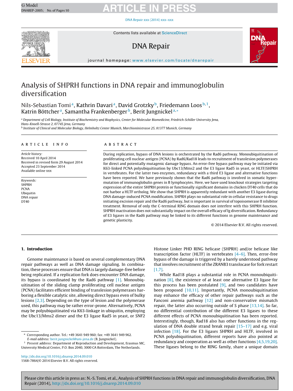 Analysis of SHPRH Functions in DNA Repair and Immunoglobulin Diversiﬁcation