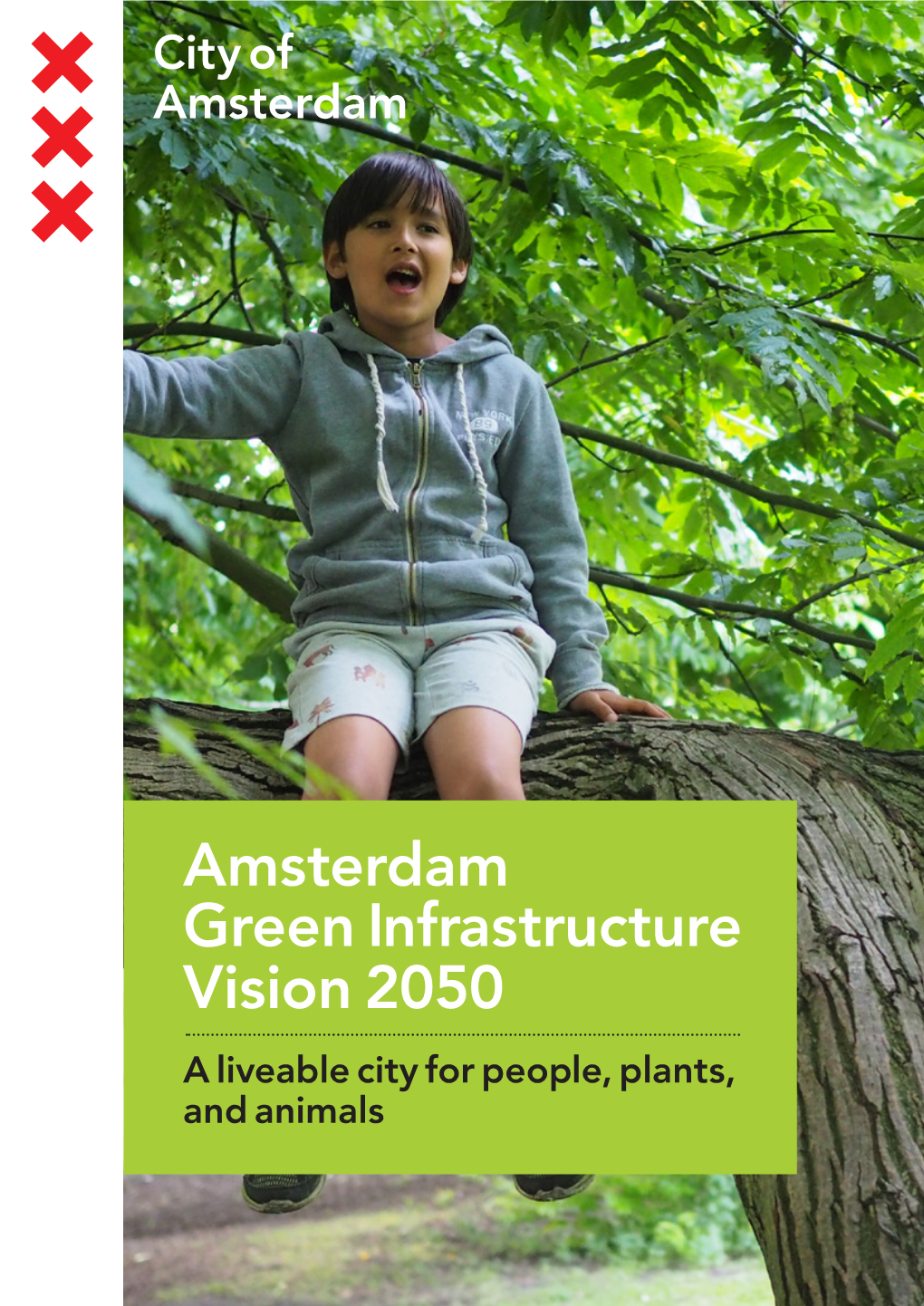 Amsterdam Green Infrastructure Vision 2050 a Liveable City for People, Plants, and Animals