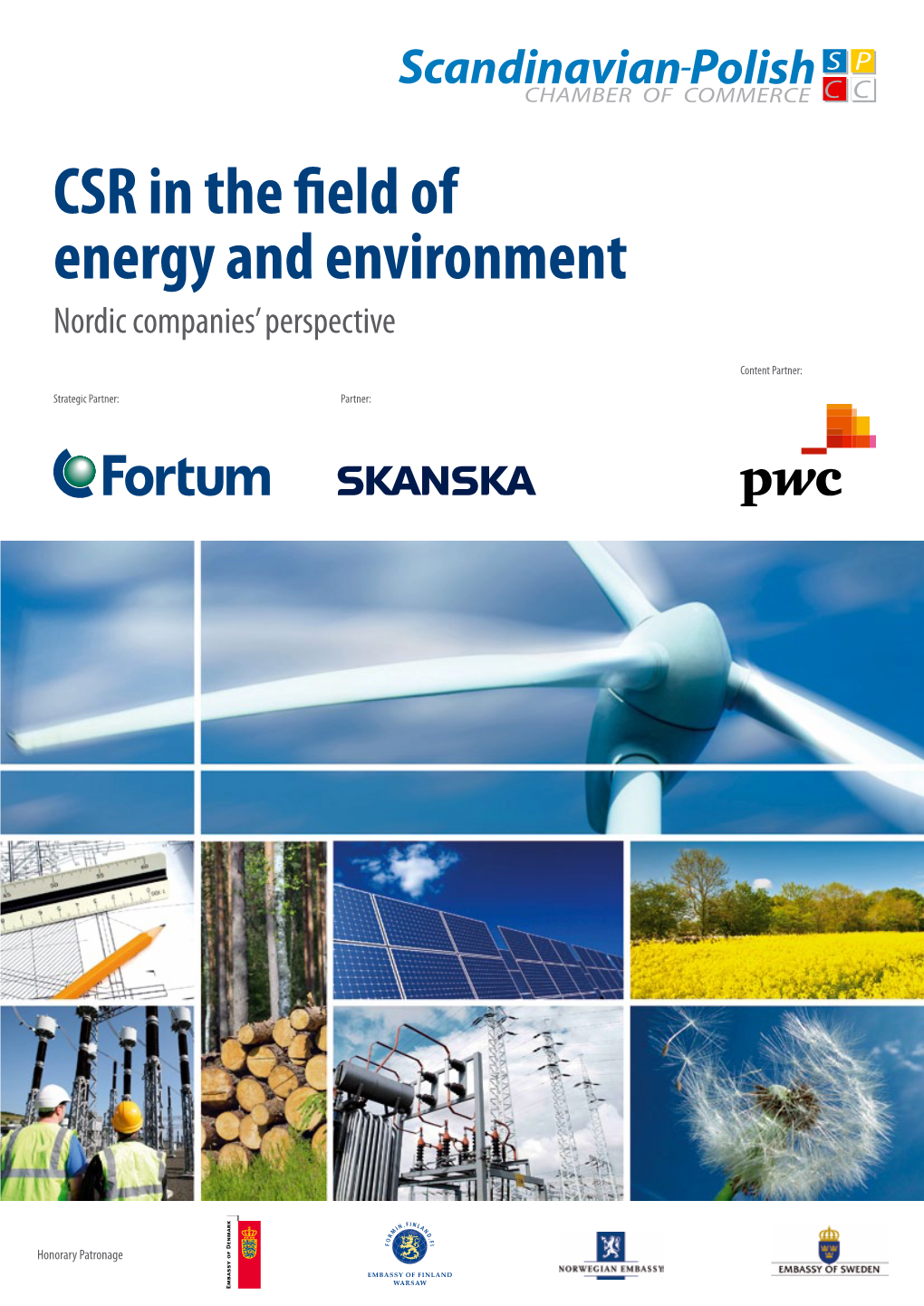 CSR in the Field of Energy and Environment Nordic Companies’ Perspective