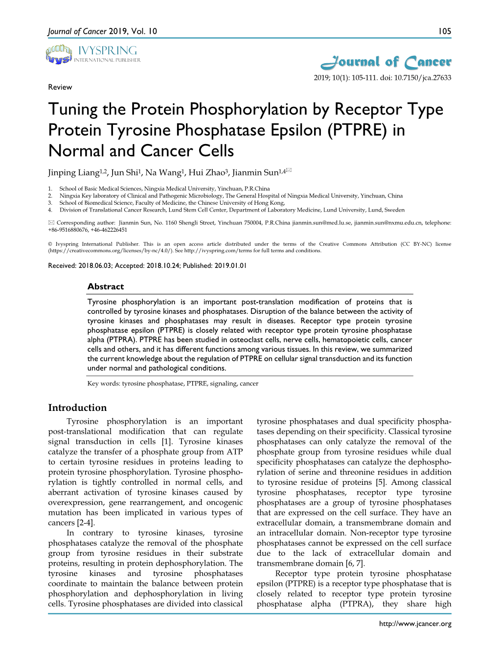 Tuning the Protein Phosphorylation by Receptor Type Protein Tyrosine