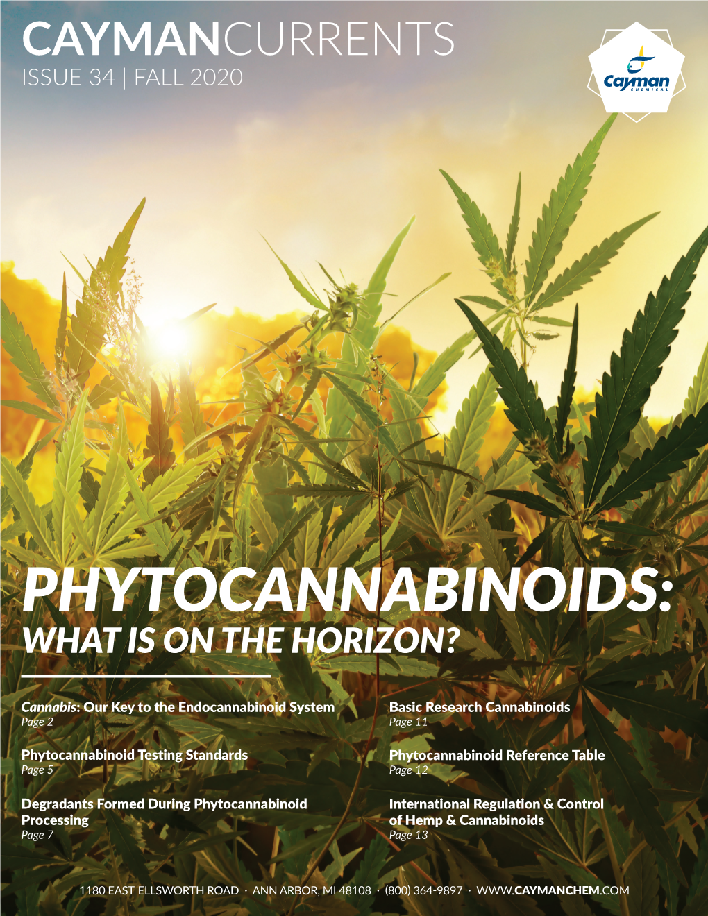 Phytocannabinoids: What Is on the Horizon?