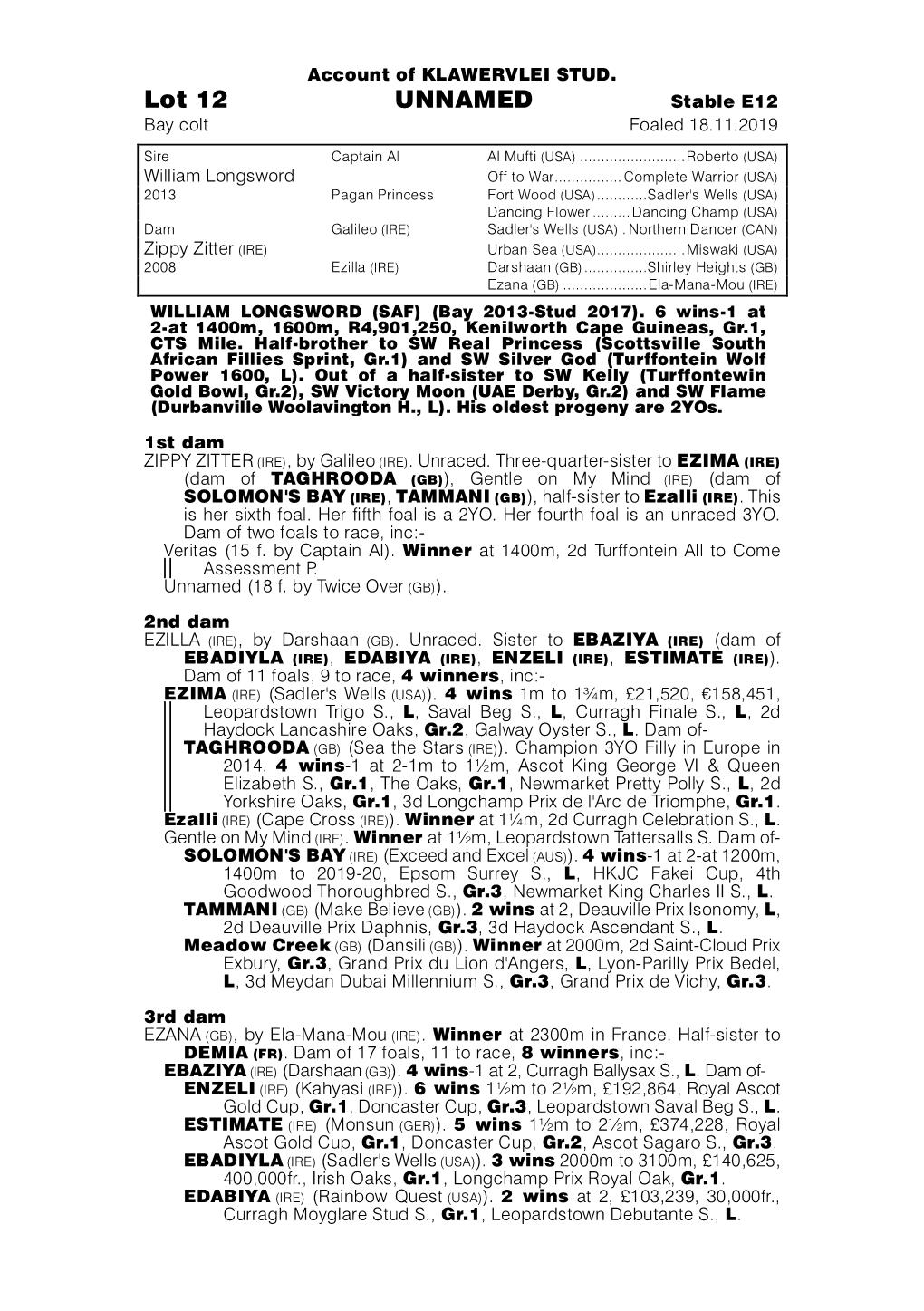 Lot 12 UNNAMED Stable E12 Bay Colt Foaled 18.11.2019