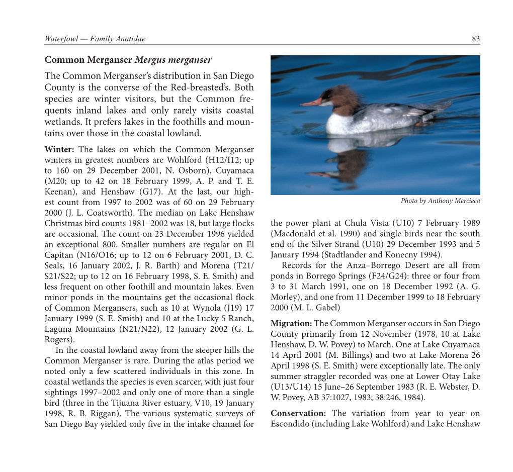 Common Merganser Mergus Merganser the Common Merganser’S Distribution in San Diego County Is the Converse of the Red-Breasted’S