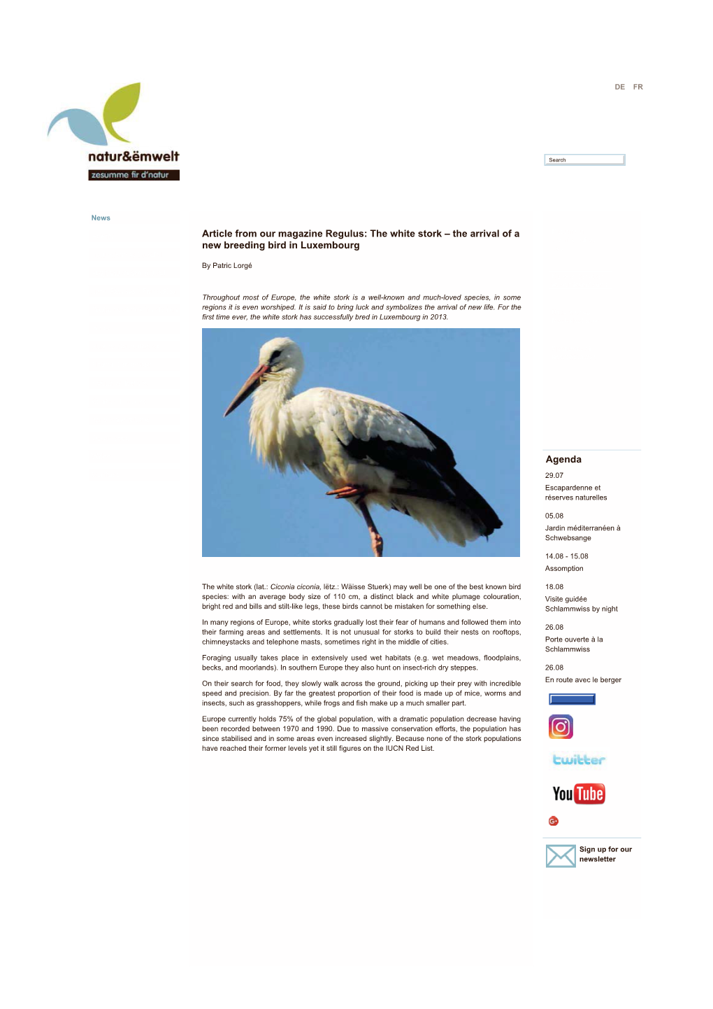 White Stork – the Arrival of a Member of Our New Breeding Bird in Luxembourg Asbl Natur&Ëmwelt A.S.B.L