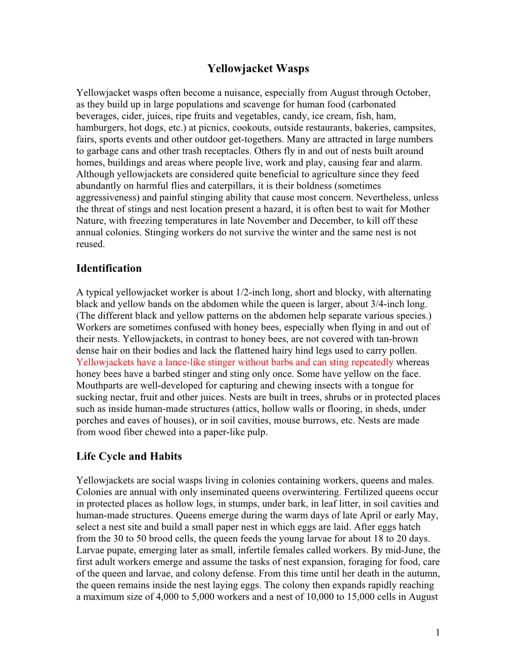 Yellowjacket Wasps Identification Life Cycle and Habits