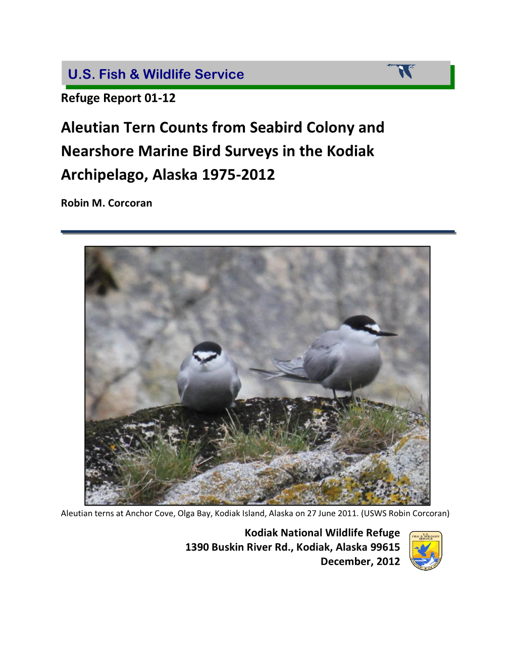 Kodiak Aleutian Tern Counts 1975-2012