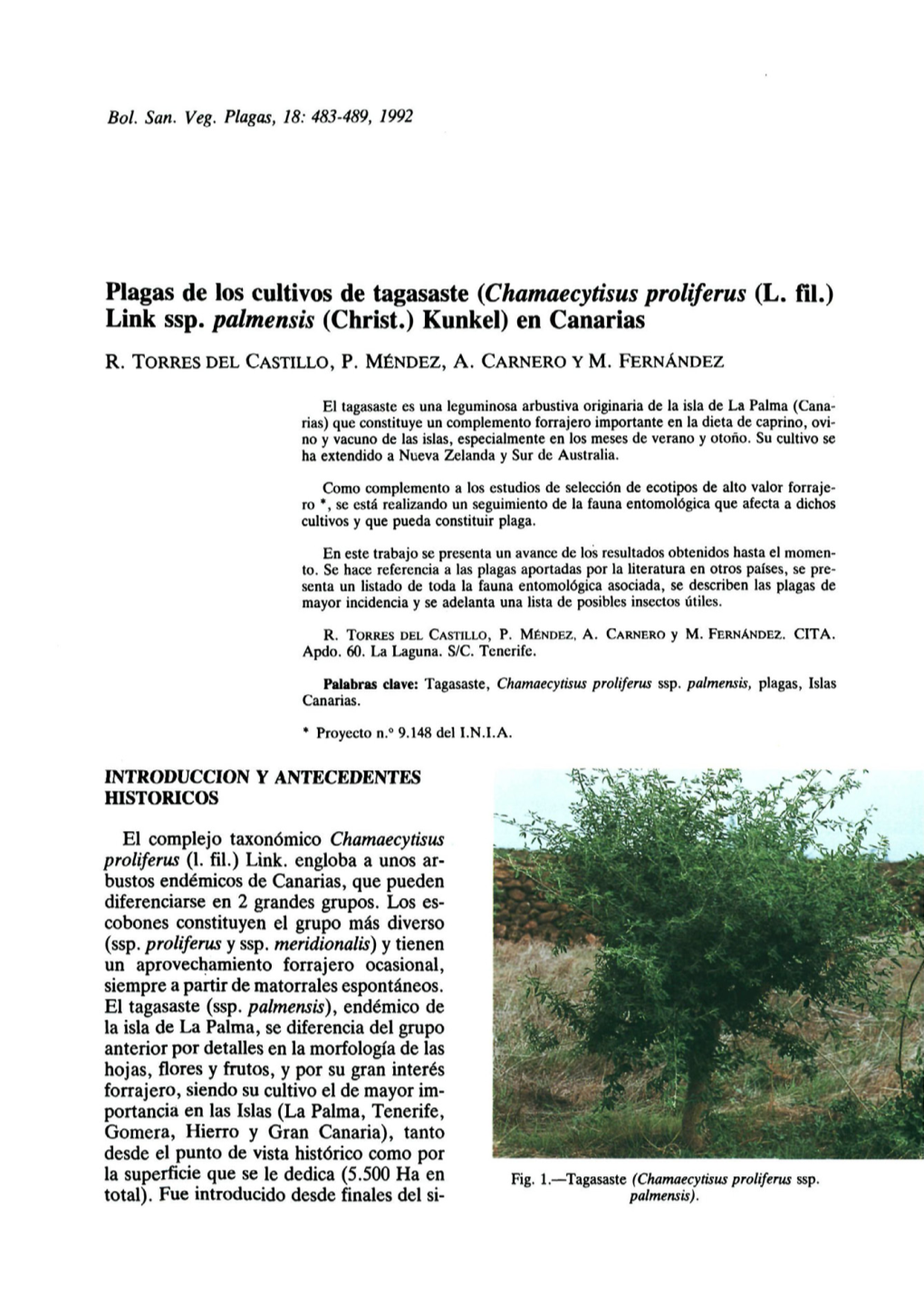 Plagas De Los Cultivos De Tagasaste (Chamaecytisus Proliferus (L. Fil.) Link Ssp