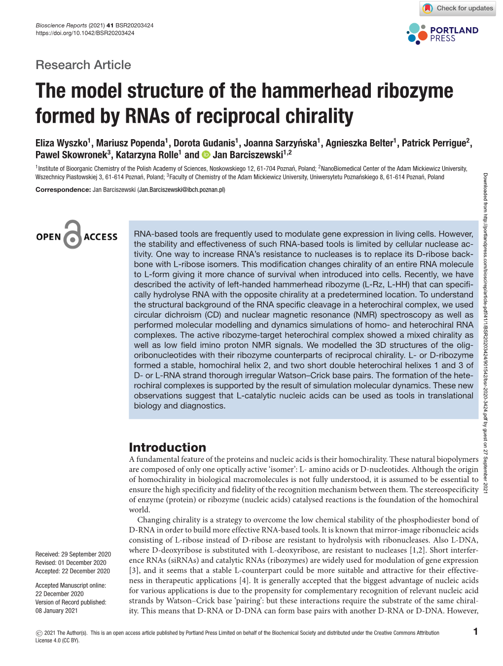 The Model Structure of the Hammerhead Ribozyme Formed by Rnas of Reciprocal Chirality