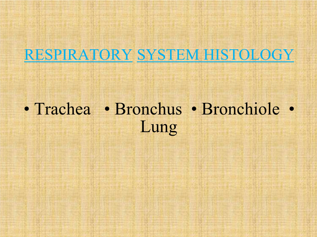 • Trachea • Bronchus • Bronchiole • Lung