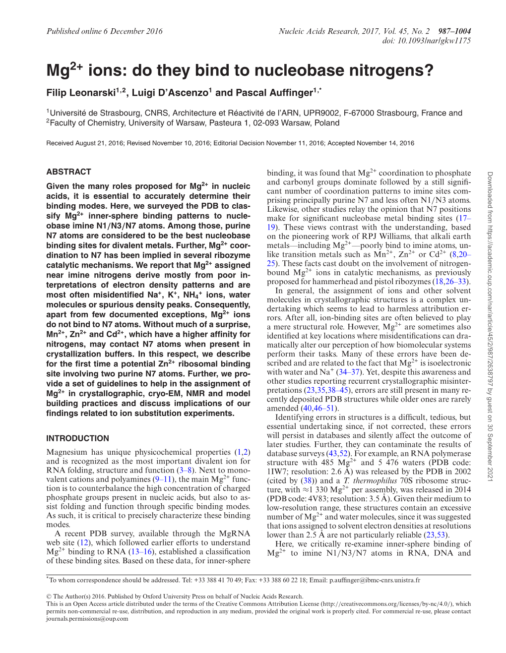 Mg Ions: Do They Bind to Nucleobase Nitrogens?