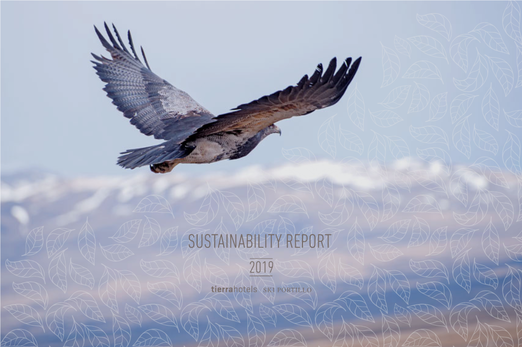 Sustainability Report 2019 Table of Contents