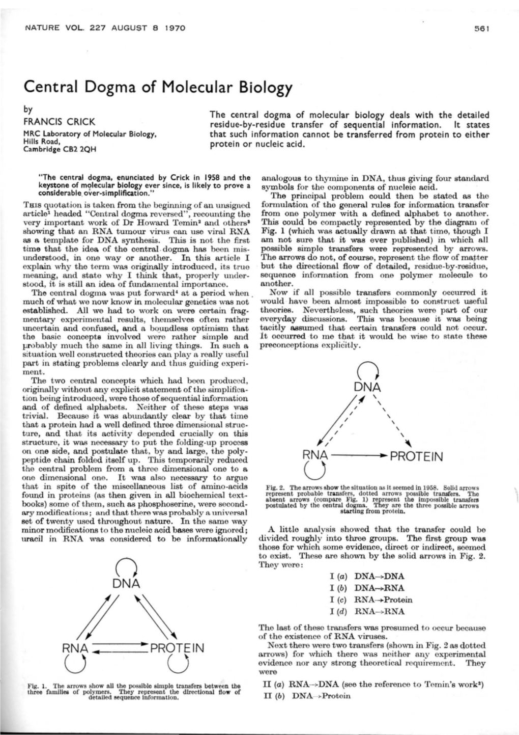 Central Dogma of Molecular Biology