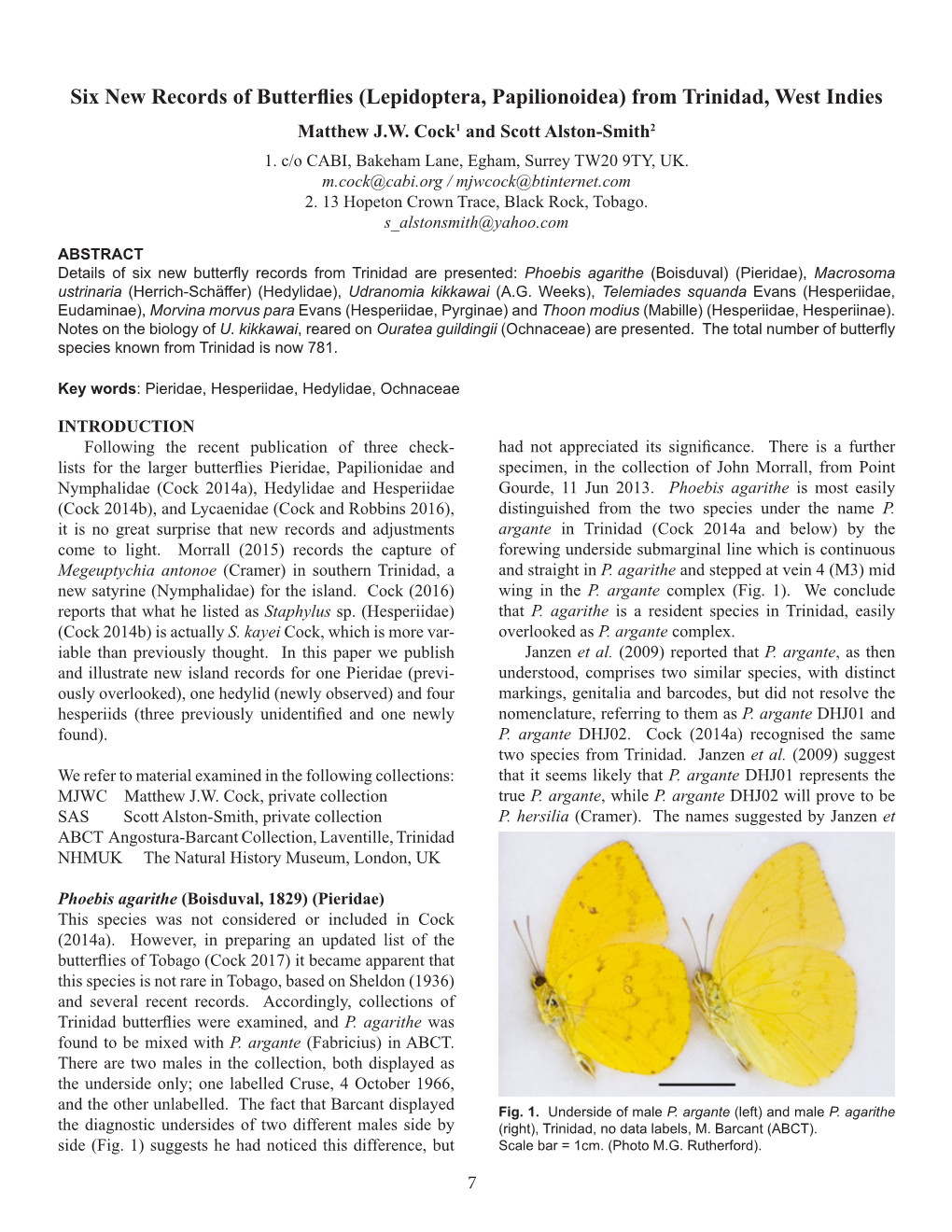 Lepidoptera, Papilionoidea) from Trinidad, West Indies Matthew J.W