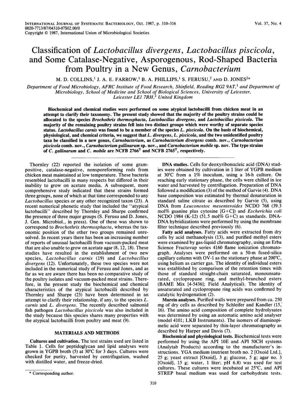 Classification of Lactobacillus Divergens, Lactobacillus Piscicola