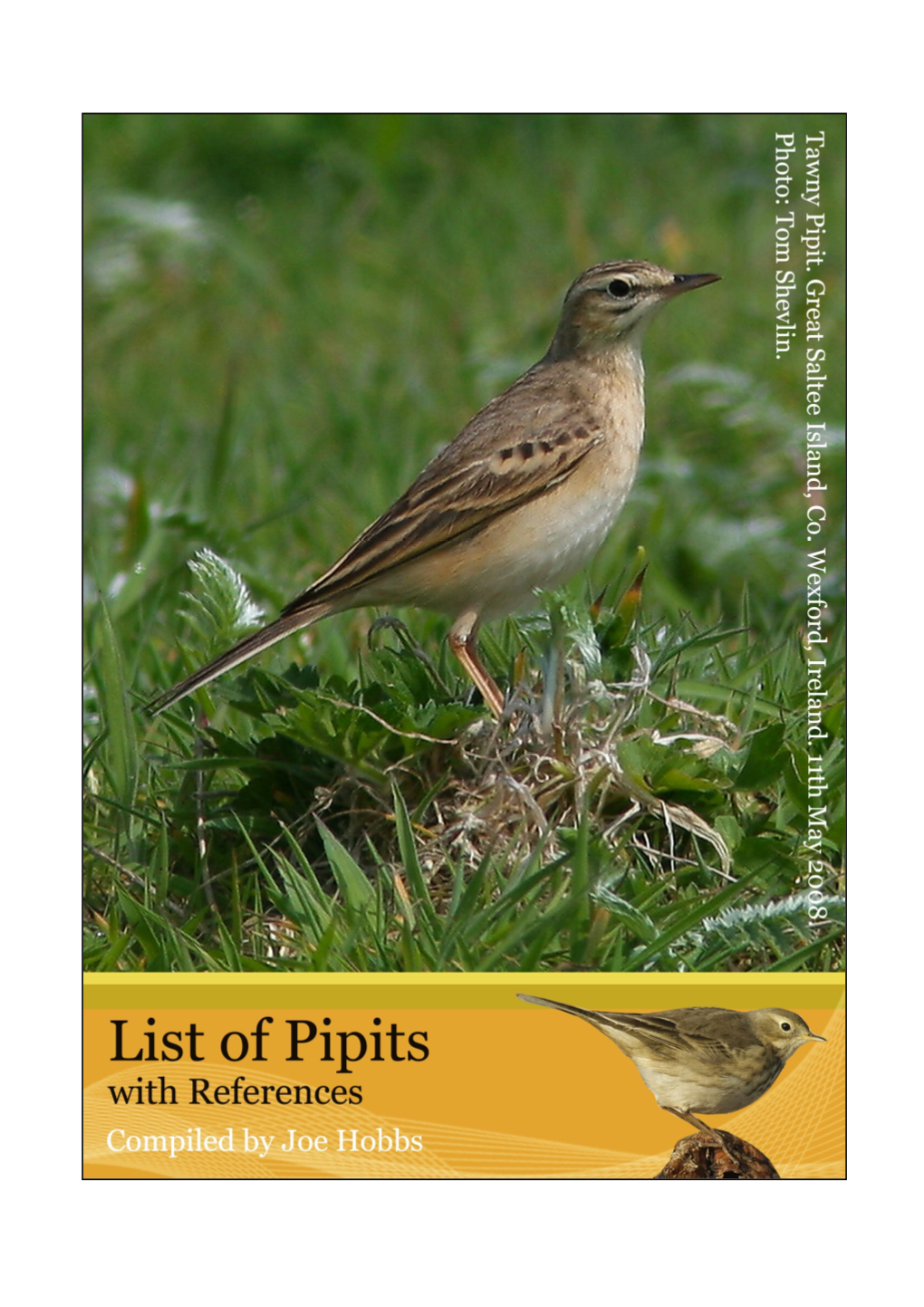 Pipitsrefs V1.5.Pdf