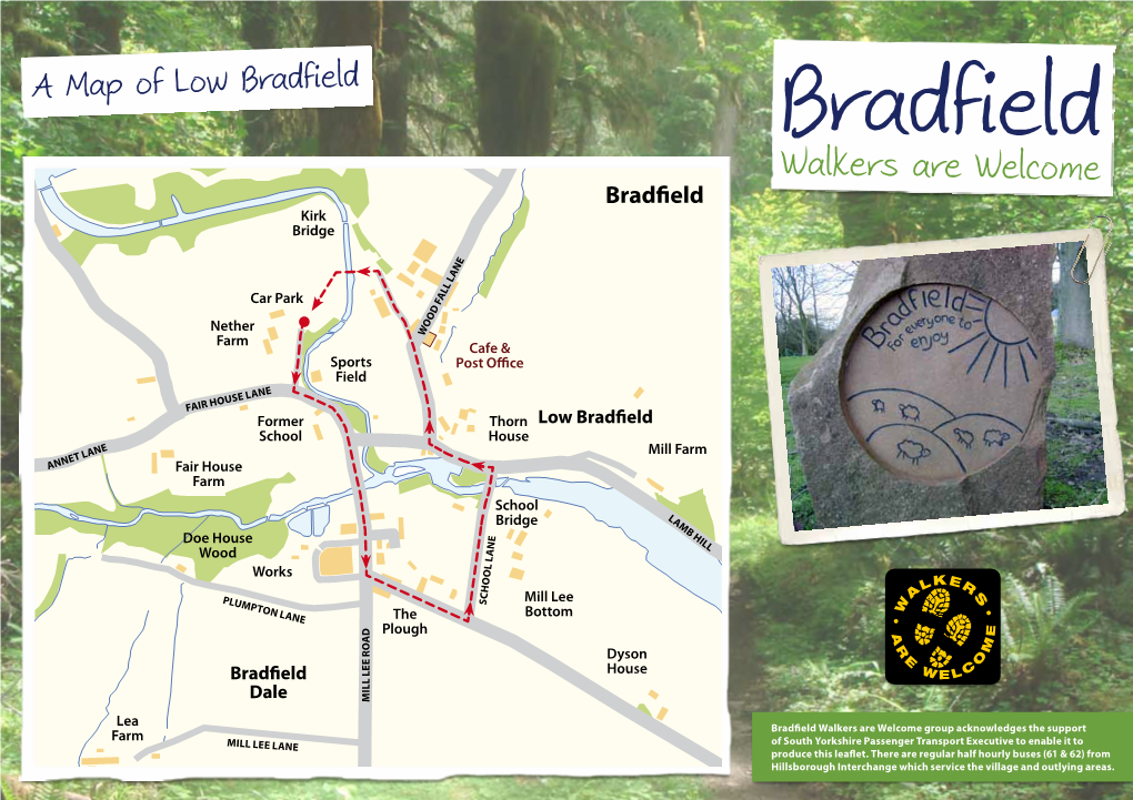 Low Bradfield Walk Instructions