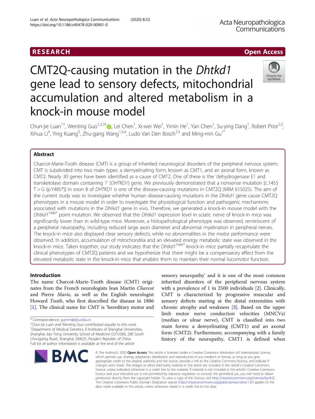 CMT2Q-Causing Mutation in the Dhtkd1 Gene Lead to Sensory