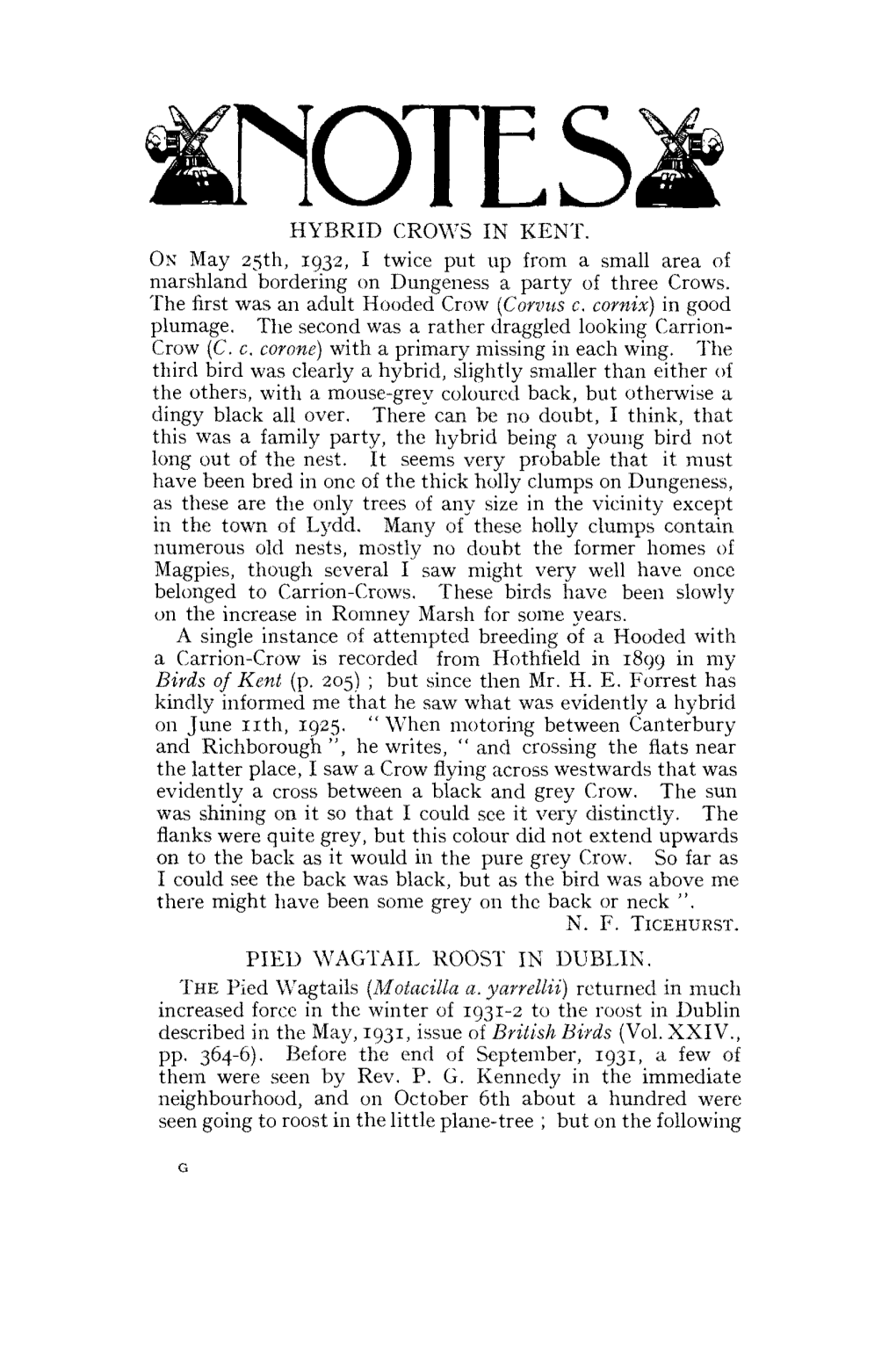 HYBRID CROWS in KENT. on May 25Th, 1932, I Twice Put up from a Small Area of Marshland Bordering on Dungeness a Party of Three Crows