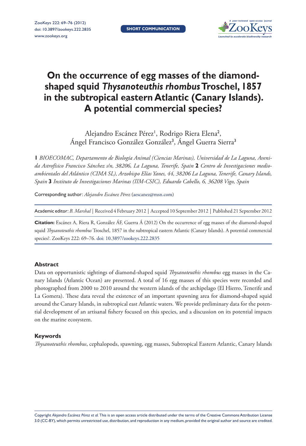 On the Occurrence of Egg Masses of the Diamond- Shaped Squid Thysanoteuthis Rhombus Troschel, 1857 in the Subtropical Eastern Atlantic (Canary Islands)