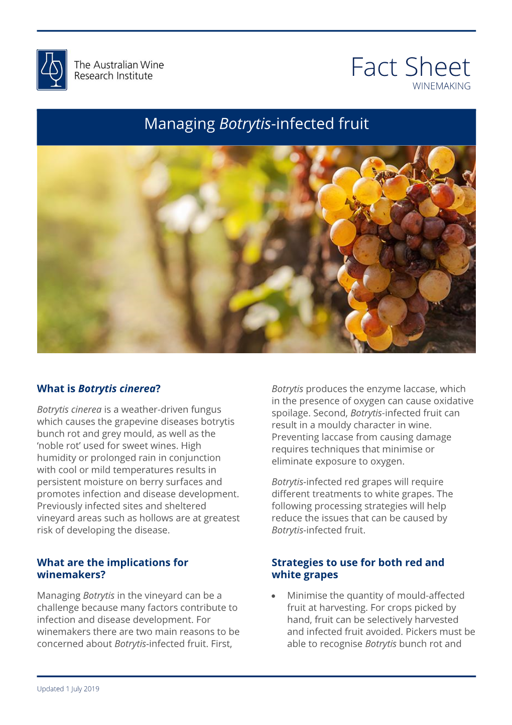 Fact Sheet WINEMAKING