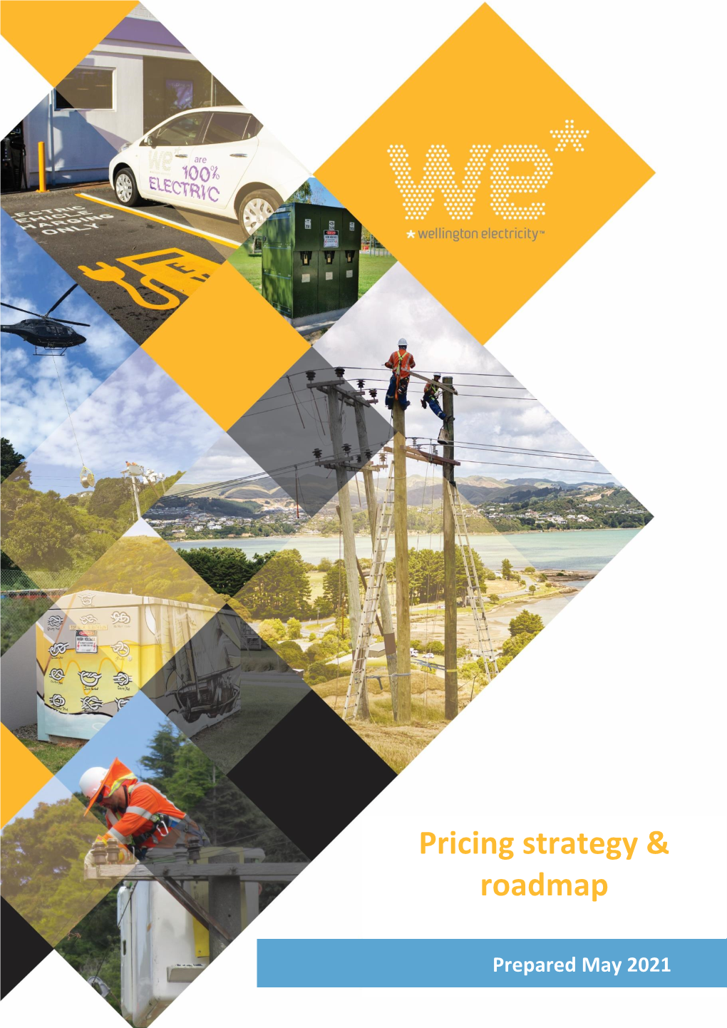 Pricing Strategy & Roadmap