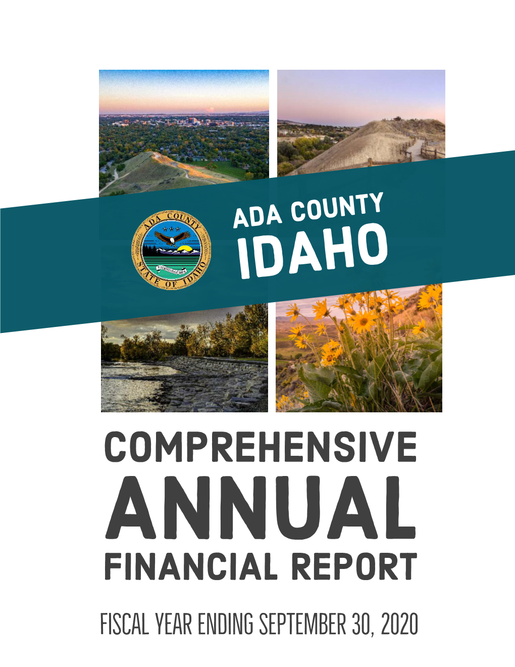 2020 Comprehensive Annual Financial Report (CAFR)