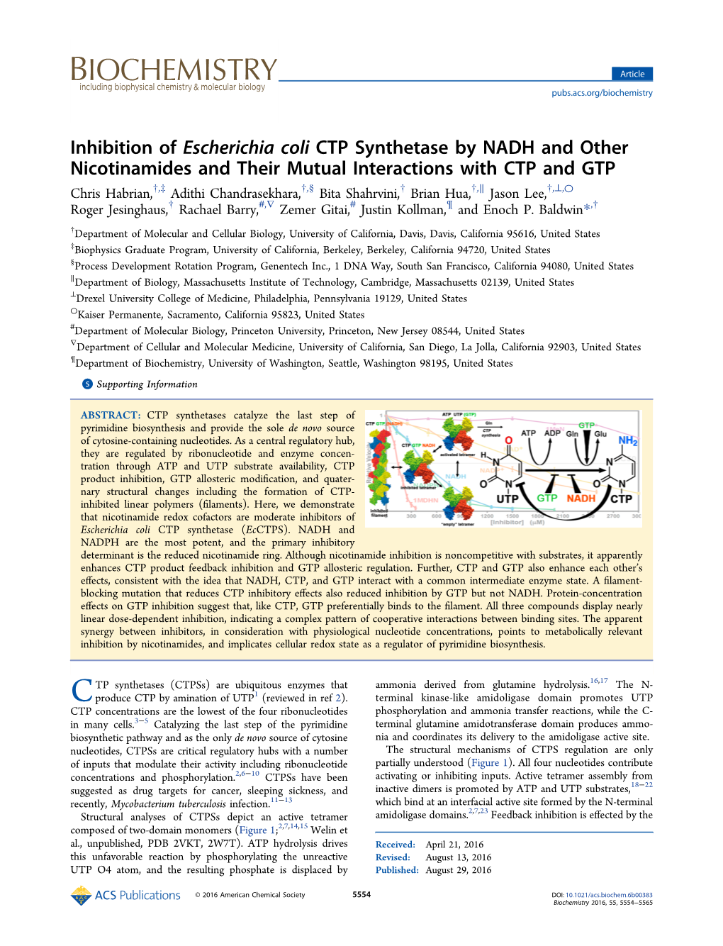 Inhibition of Escherichia Coli CTP Synthetase by NADH and Other