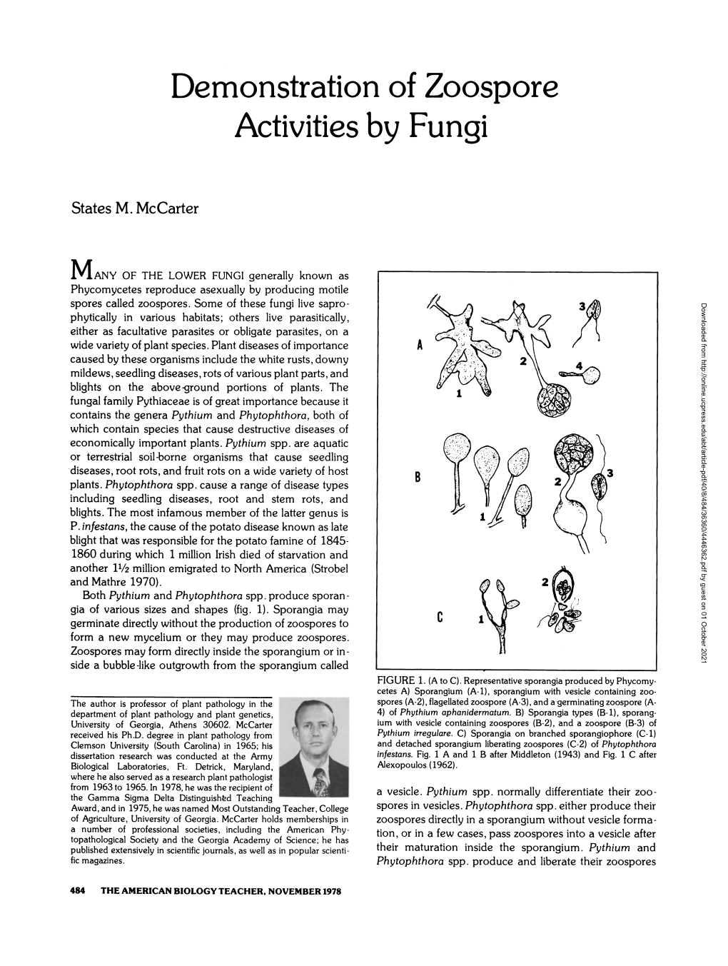 Demonstration of Zoospore Activities by Fungi